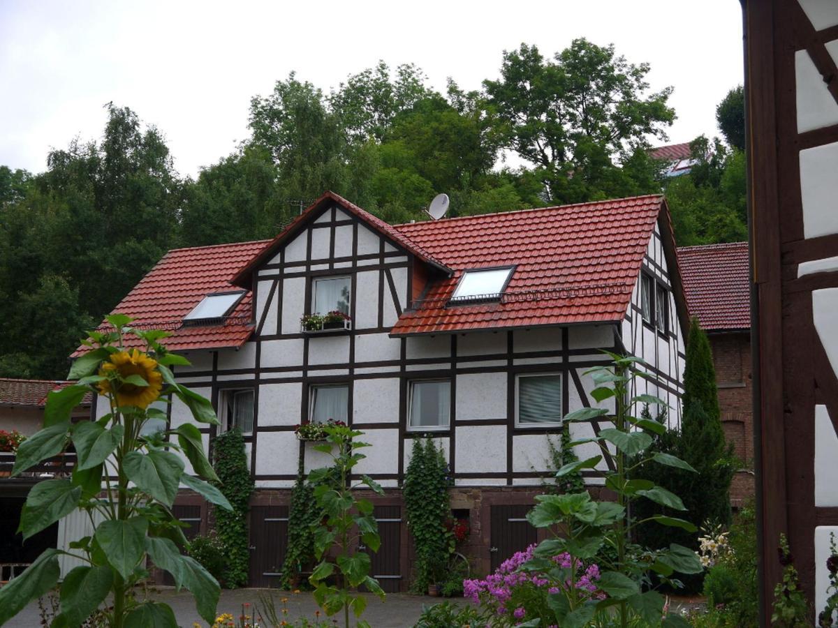 Ferienwohnungen Am Campingplatz Trendelburg Exterior photo
